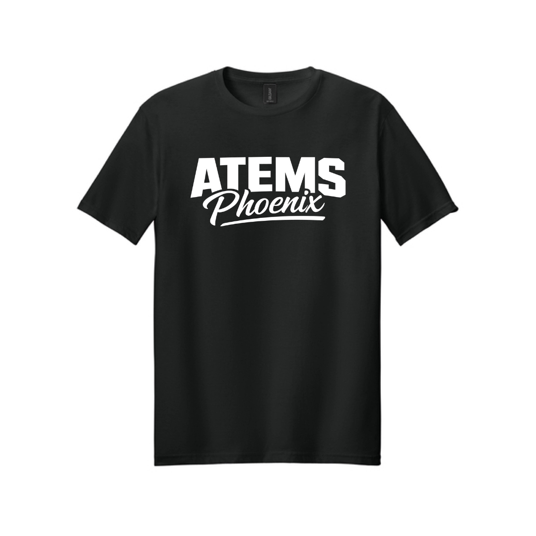 ATEMS High School T-Shirts